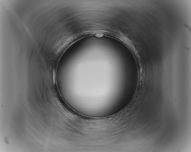 X0000100390013200806131002