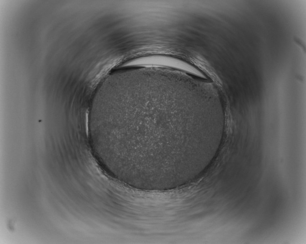 X0000100390014200806131002