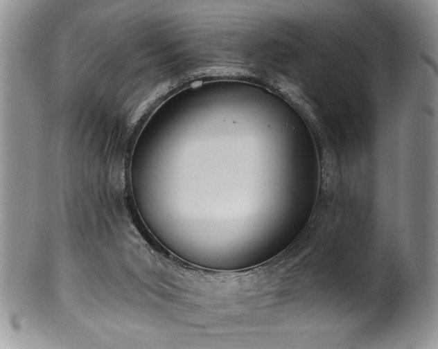 X0000100390015200806131002