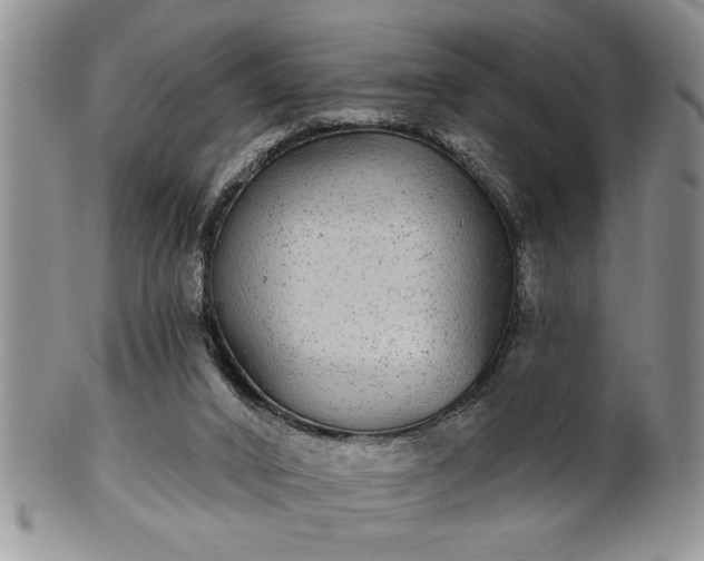 X0000100390016200806131002