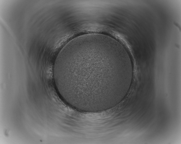 X0000100390017200806131002