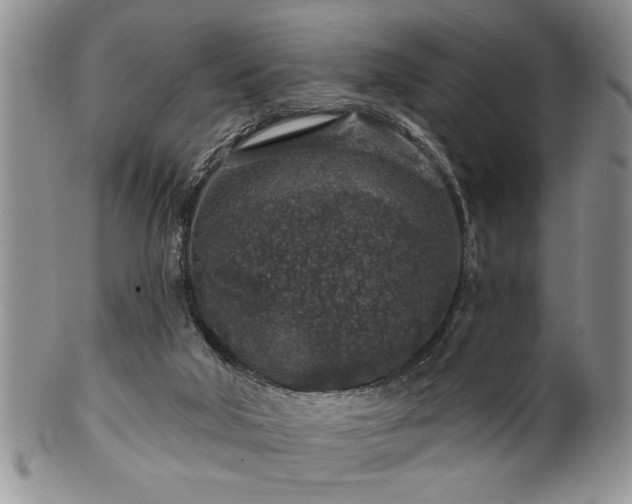 X0000100390018200806131002