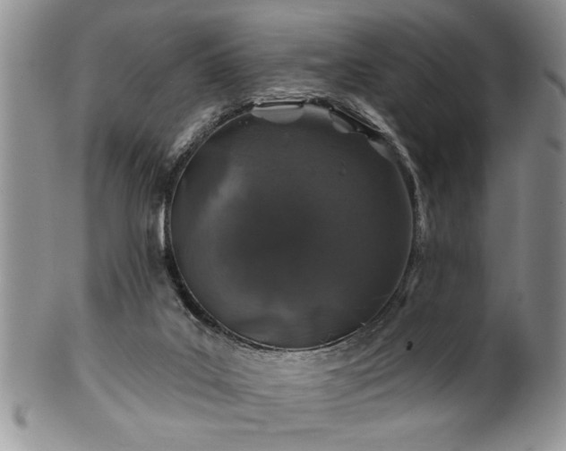 X0000100390019200806131002