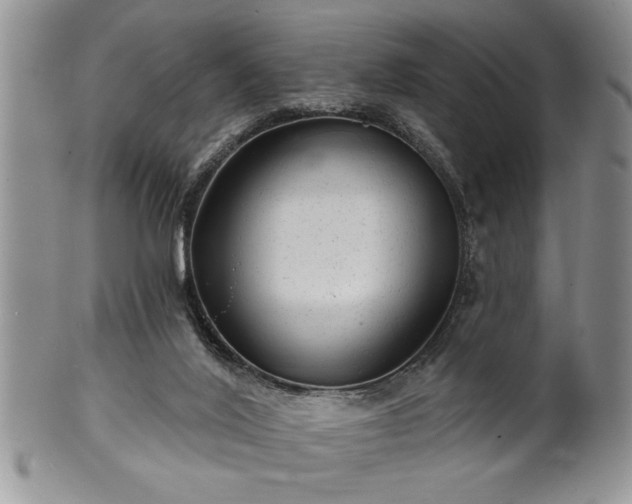 X0000100390020200806131002