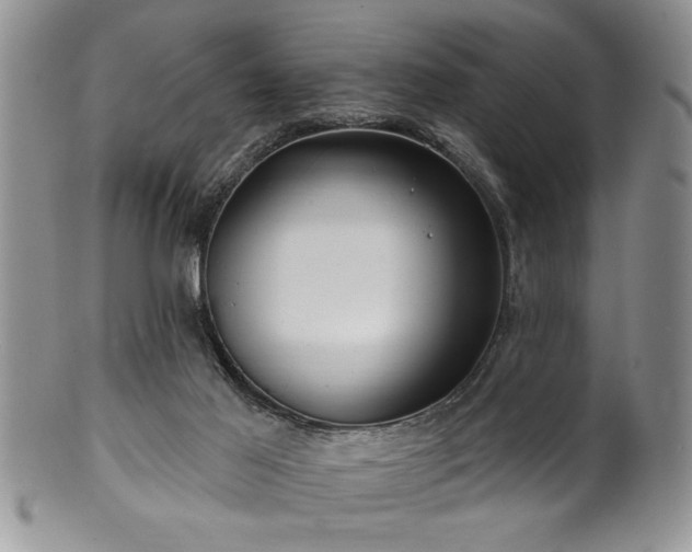 X0000100390021200806131002