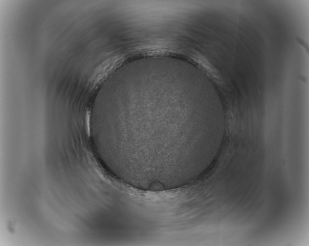 X0000100390022200806131002