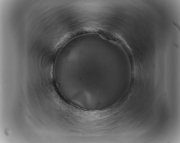 X0000100390023200806131002