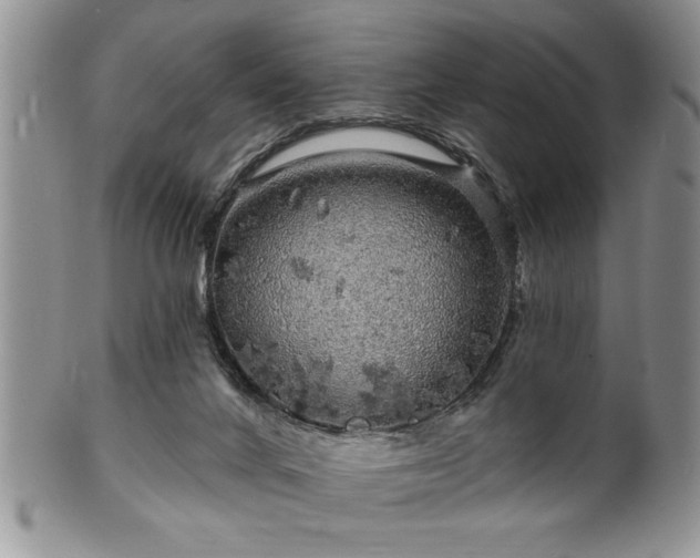 X0000100390024200806131002