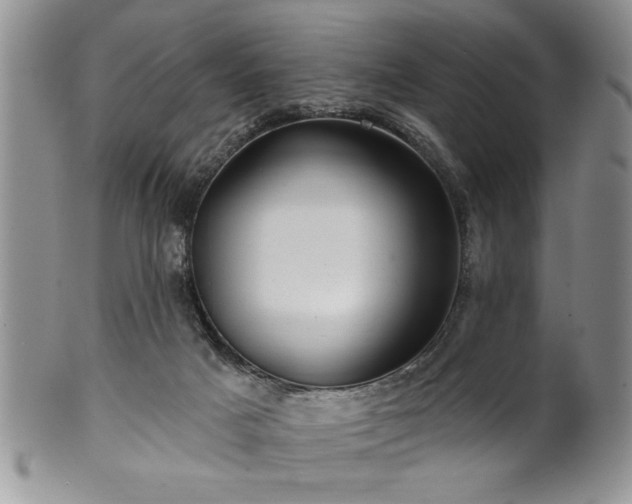 X0000100390025200806131002