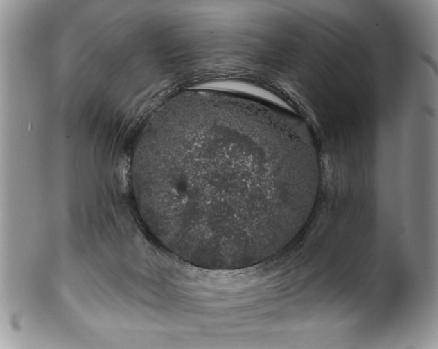 X0000100390026200806131002