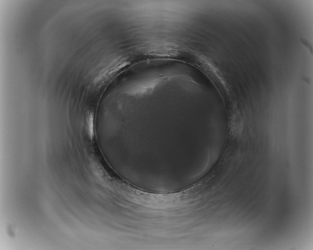 X0000100390027200806131002