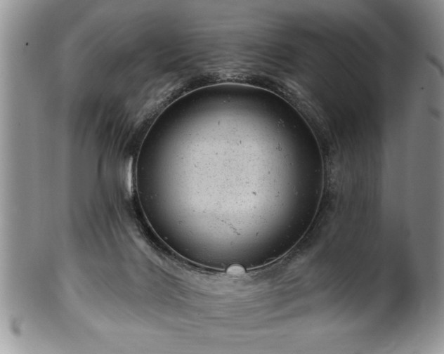 X0000100390028200806131002