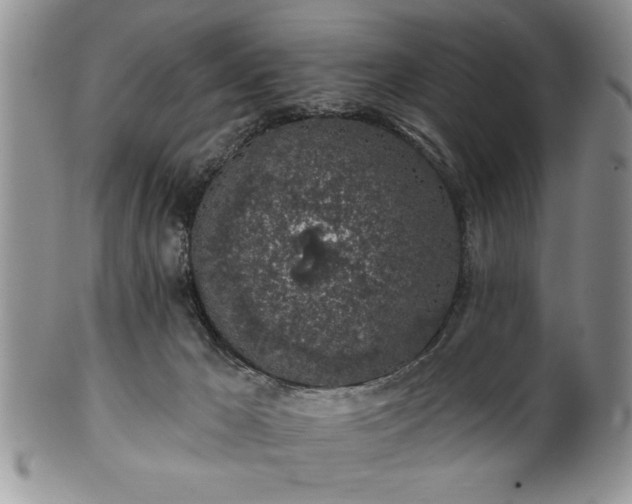 X0000100390029200806131002