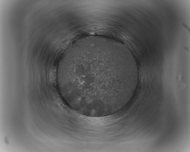 X0000100390030200806131002