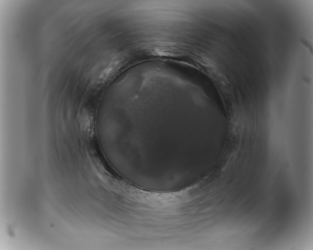 X0000100390031200806131002