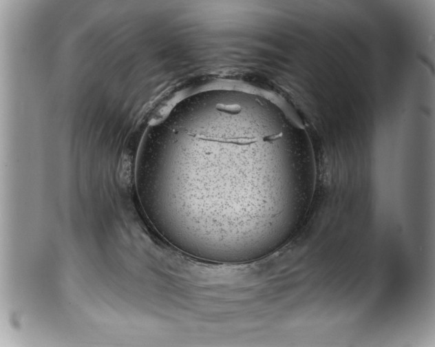 X0000100390036200806131001