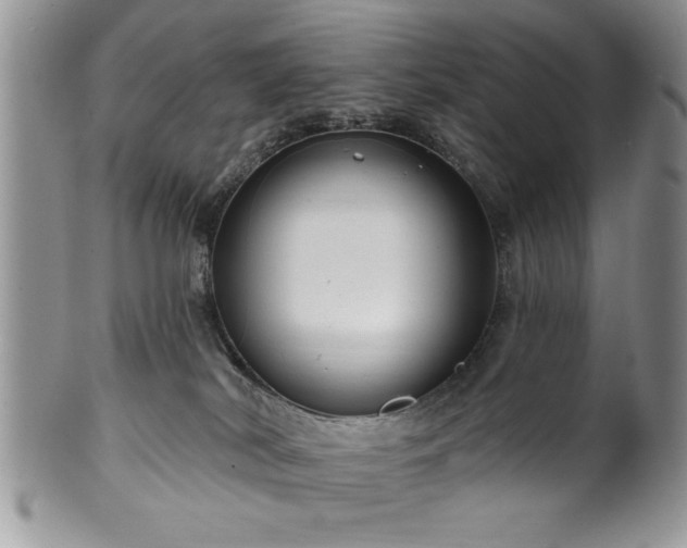 X0000100390038200806131001