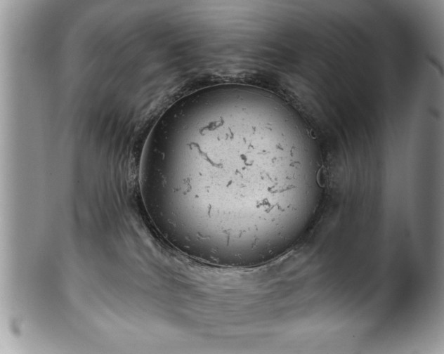 X0000100390040200806131001