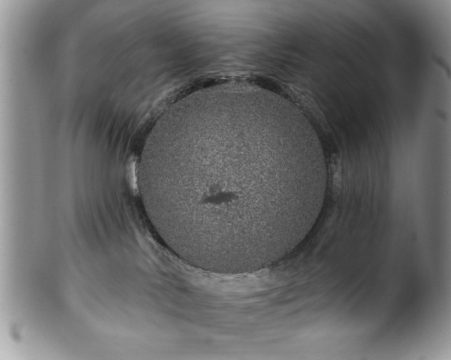 X0000100390042200806131001