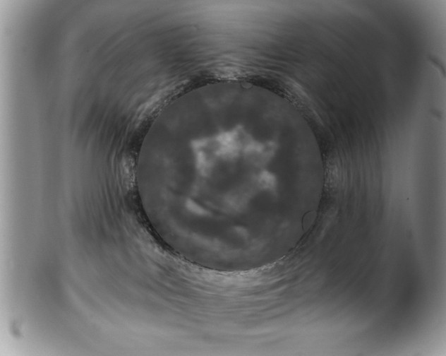 X0000100390043200806131001