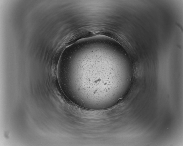 X0000100390044200806131001