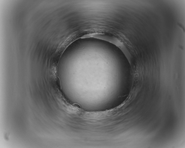 X0000100390045200806131001