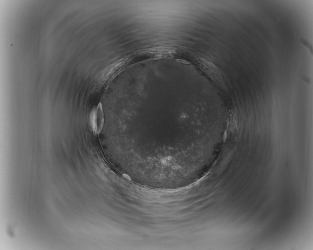 X0000100390047200806131001