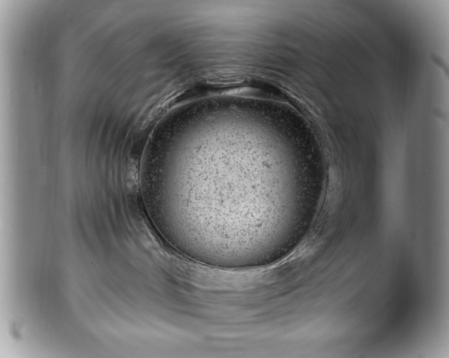 X0000100390048200806131001