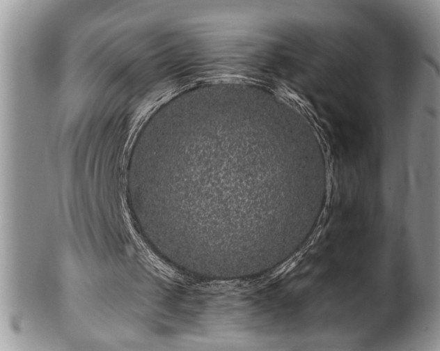 X0000100390049200806131001