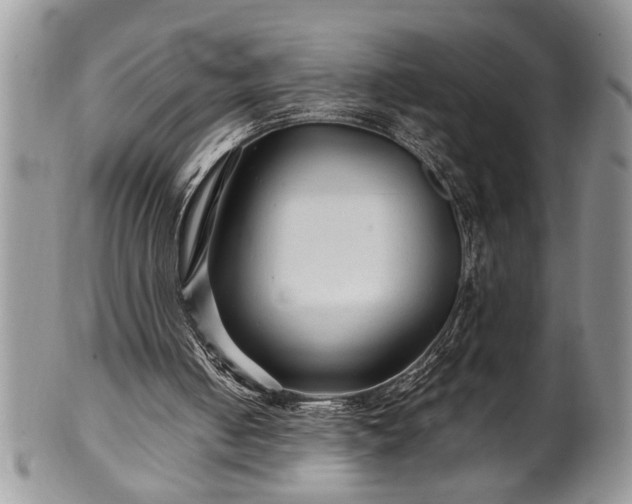 X0000100390050200806131001