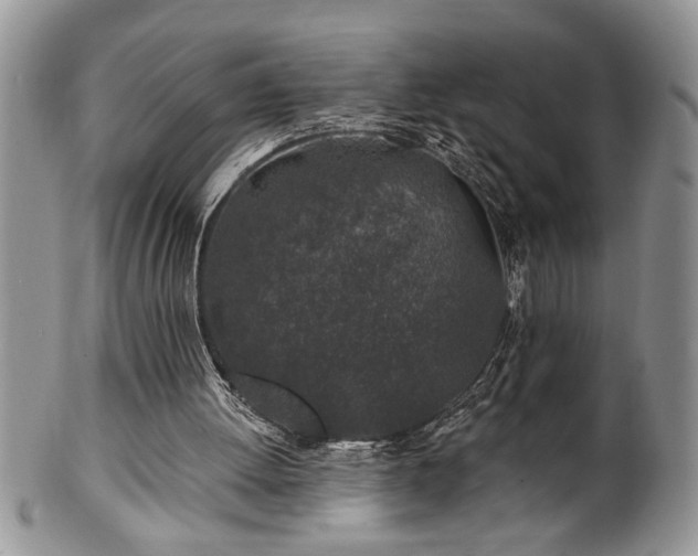 X0000100390052200806131001