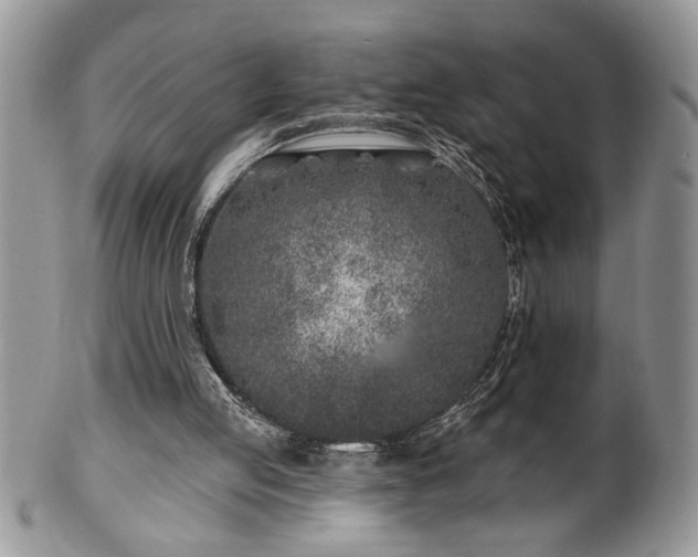 X0000100390053200806131001