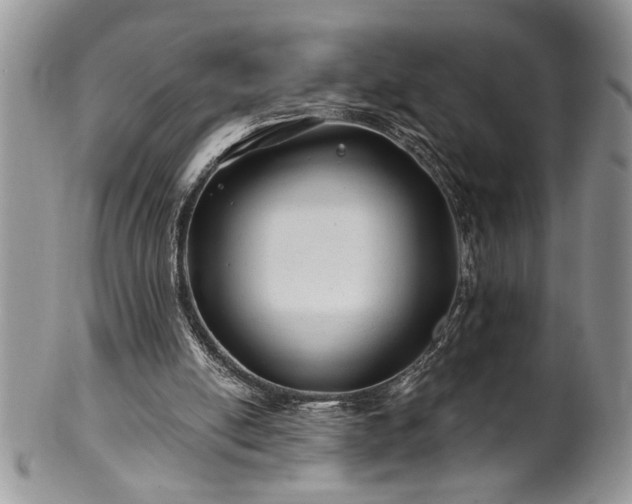 X0000100390054200806131001