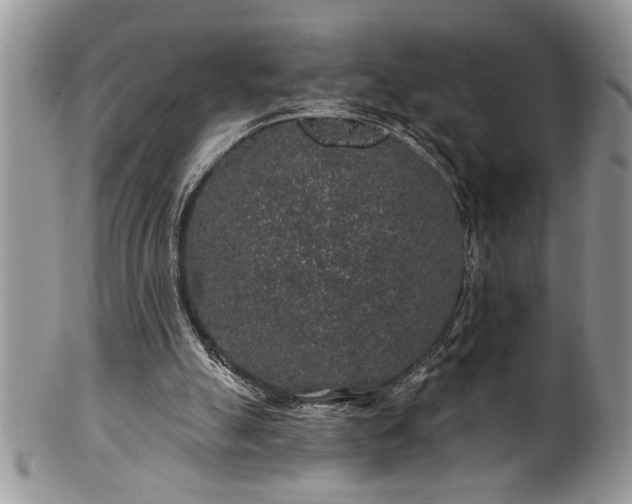 X0000100390055200806131001