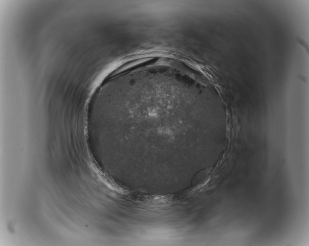 X0000100390056200806131001