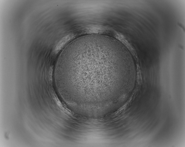 X0000100390058200806131001