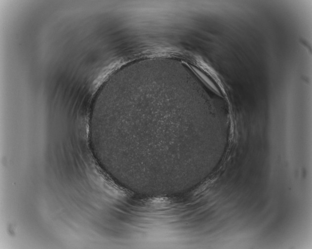 X0000100390059200806131001