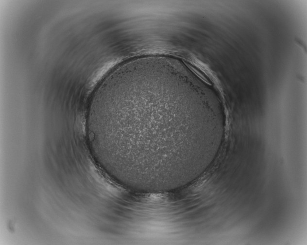 X0000100390060200806131001