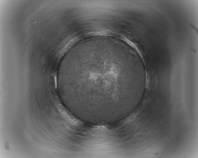 X0000100390061200806131001