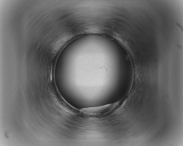 X0000100390062200806131001