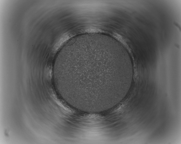 X0000100390063200806131001