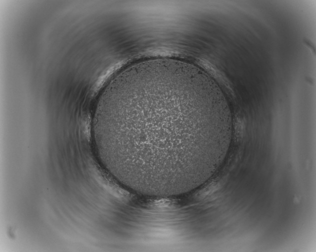 X0000100390064200806131001