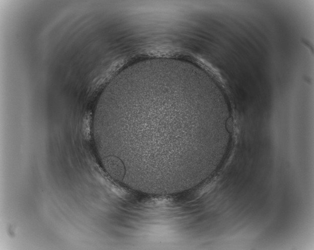 X0000100390065200806131001