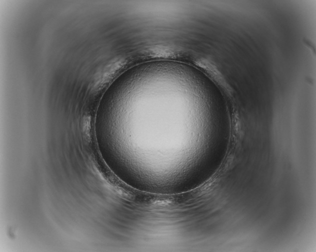 X0000100390066200806131001