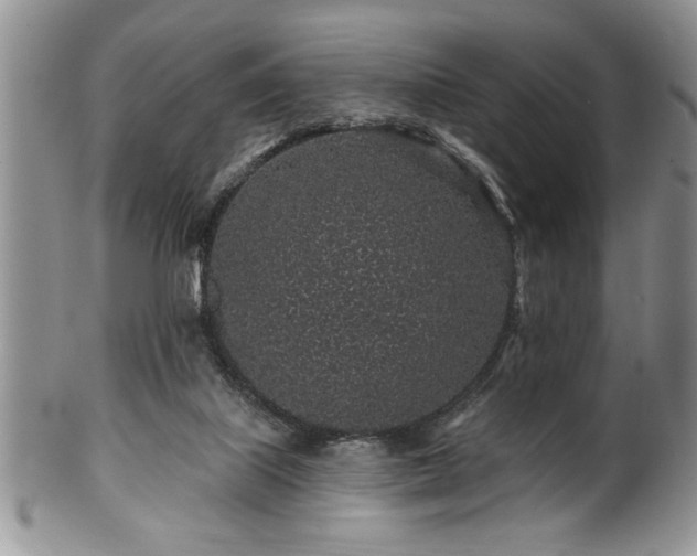 X0000100390067200806131001