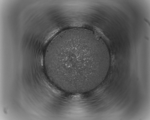 X0000100390068200806131001