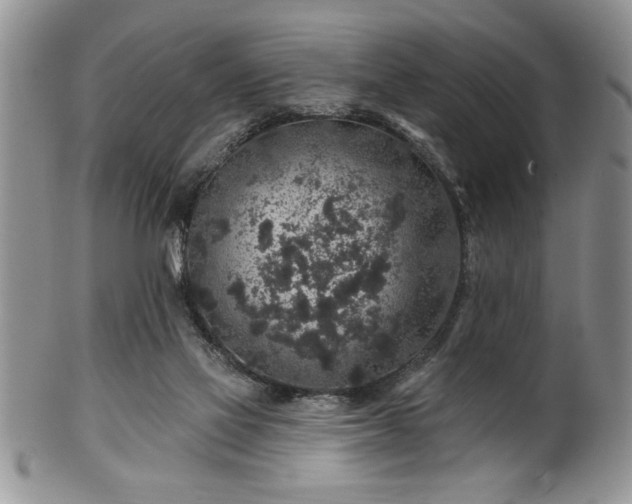 X0000100390069200806131001