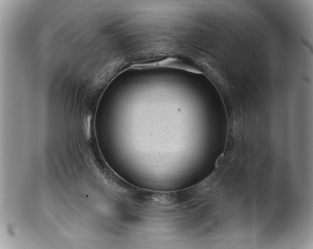 X0000100390070200806131001