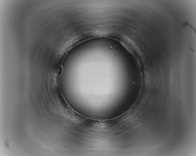 X0000100390071200806131001