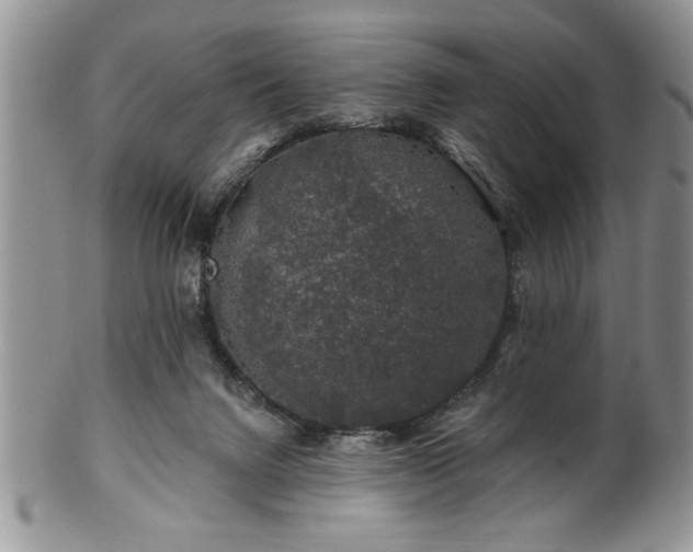 X0000100390072200806131001